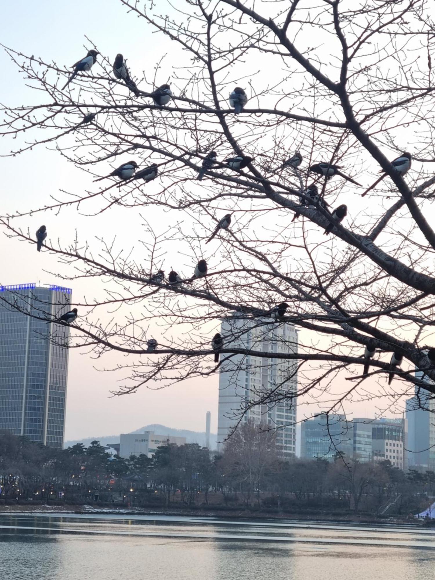New Building Jeong Lotte World Jamsil Seokchon Kspo Olympic Park Asan Hospital Family Free Parking Seoul